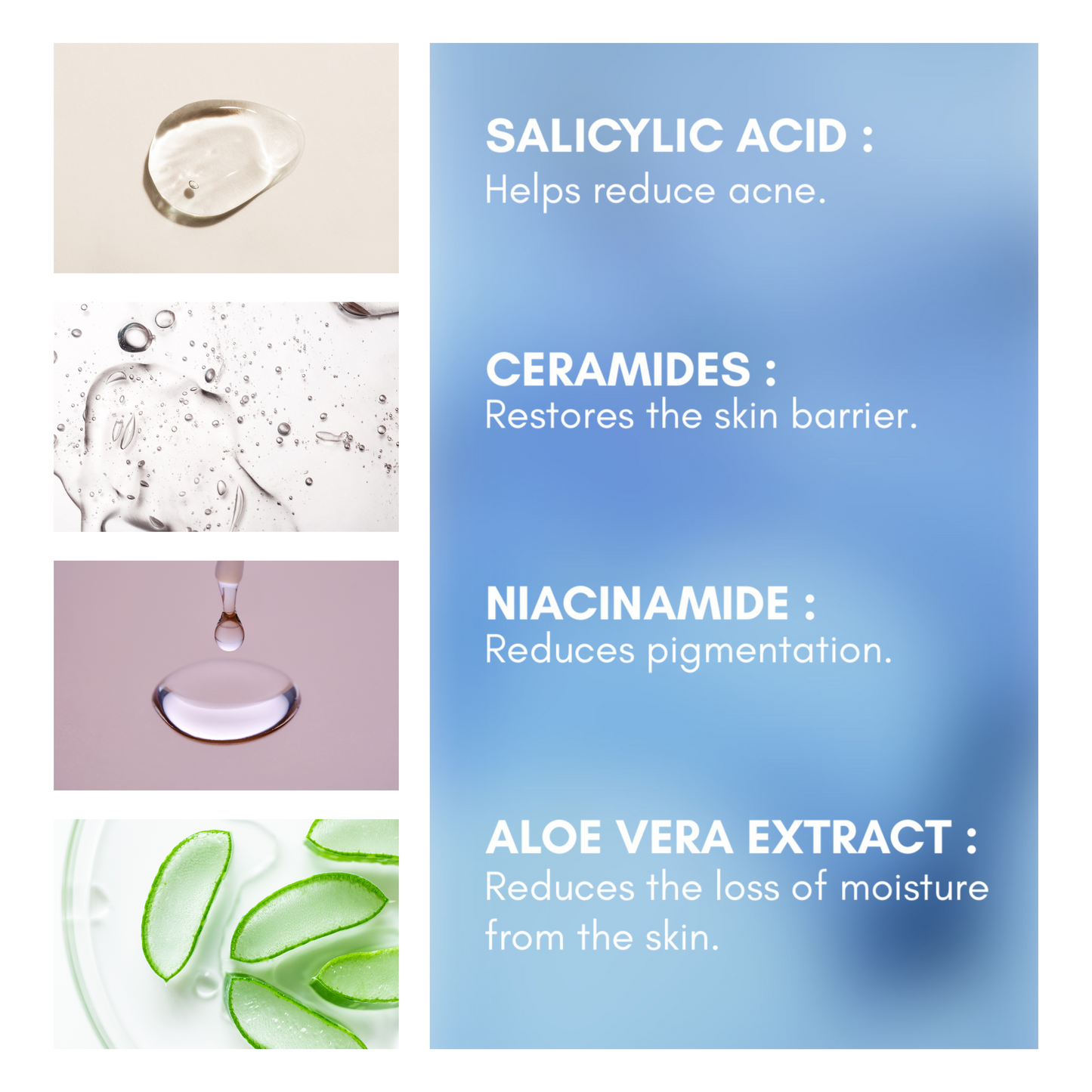 Splash Face cleanser main ingredients 